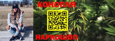 стаф Кунгур